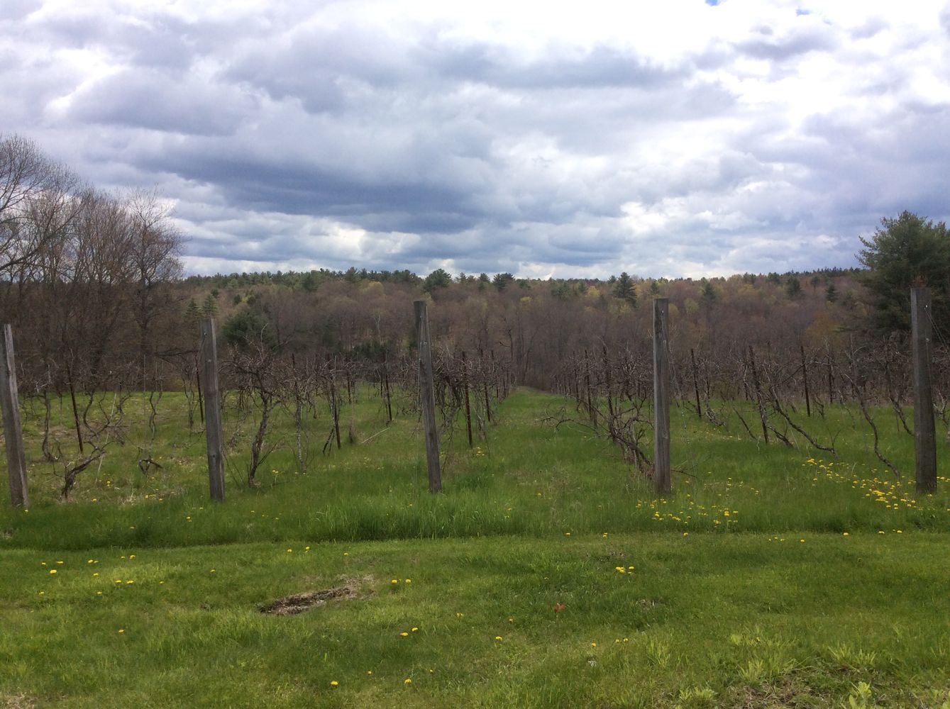 291 Fairfield St, Oakland, ME 04963